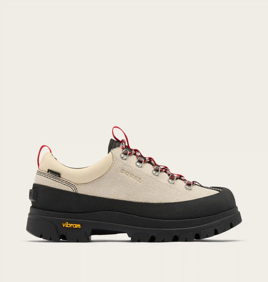 Daystorm™ Nomad GTX Men's Shoe